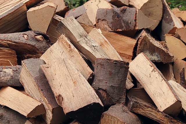 Top Tips for Choosing the Best Firewood for Your Needs