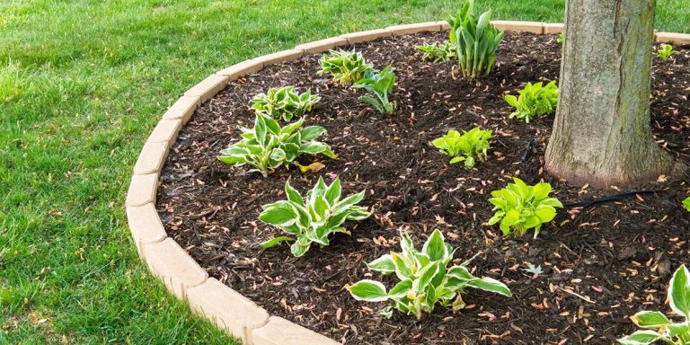 Uses For Root Mulch